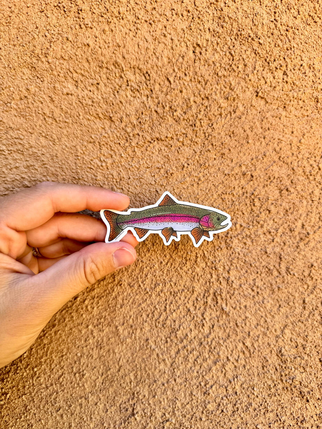 Rainbow Trout Sticker