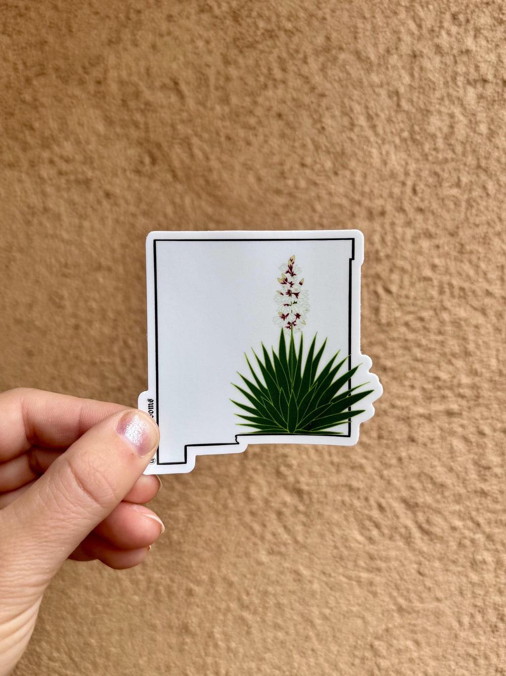 New Mexico Yucca Sticker