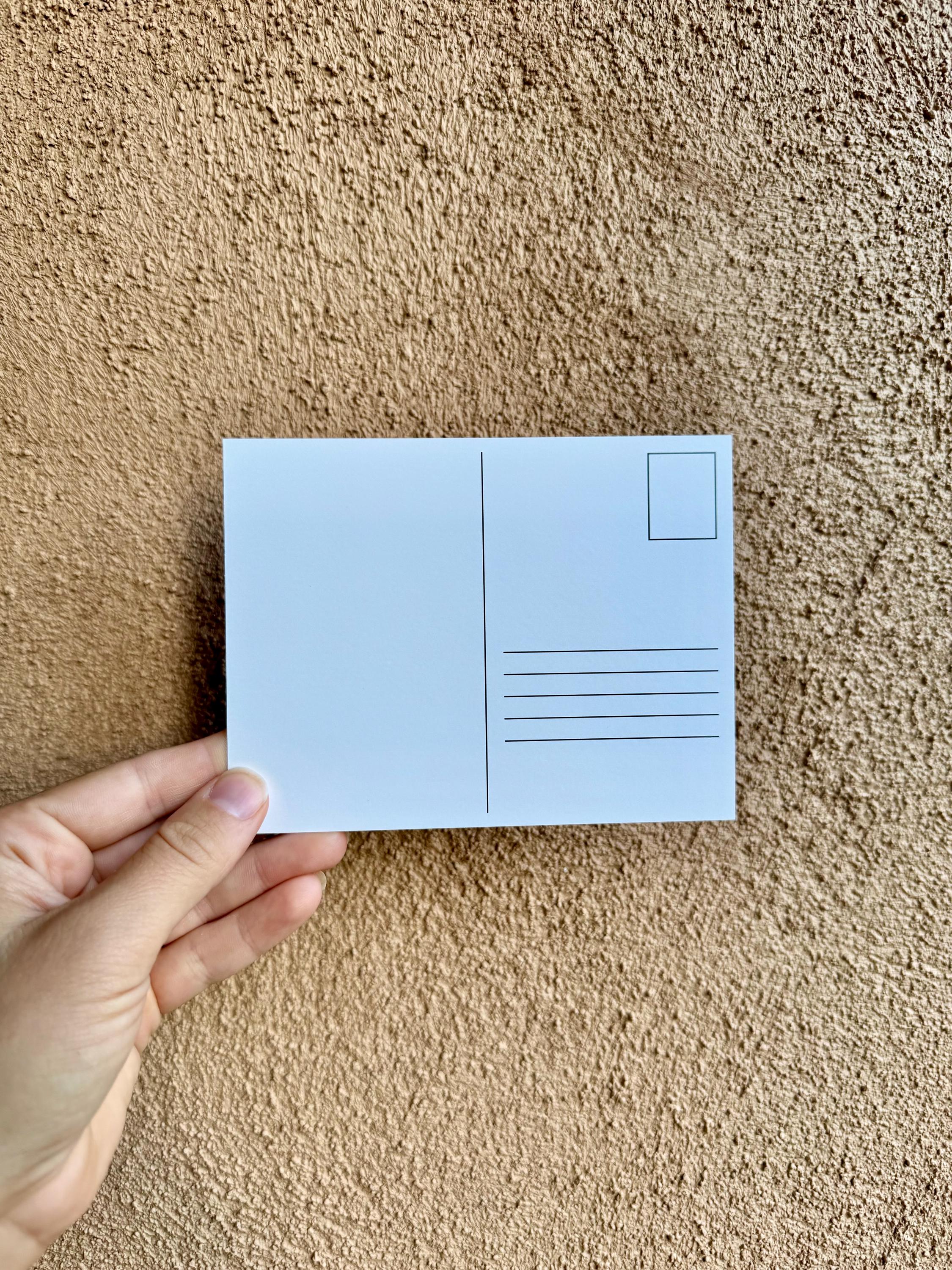 Zia Symbol Pressed Flowers Postcard